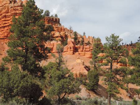 Red Canyon - Utah