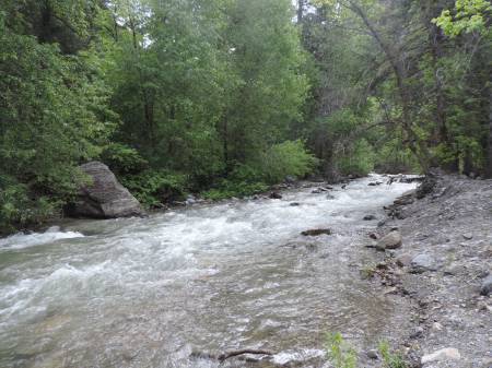 Silver Creek - Timpanagos
