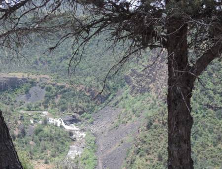 Fall River Falls - CA 299