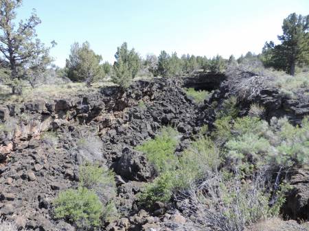 Lava Beds - collapsed cave