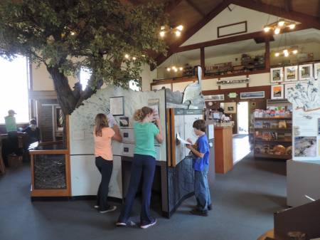 Jr Rangers at work - Marin Headlands VC