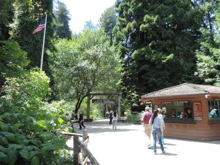 Muir Woods entrance