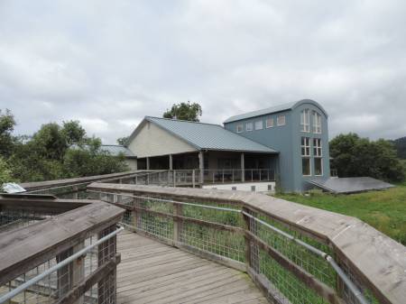 Humboldt Bay NWR walk
