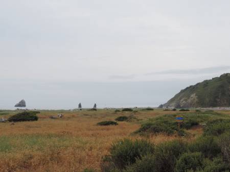 Orick beach view