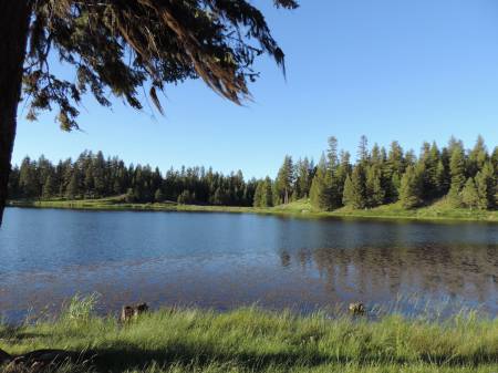 Bull Prairie Lake - 479