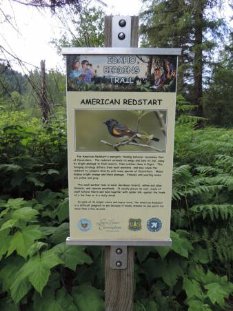 Gateway to Wilderness Birding Trail - 489