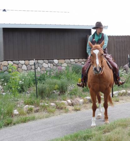Grant Kohrs horse - 499