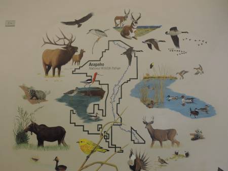 Arapahoe NWR mural - 532