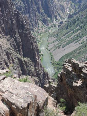 Black Cny of Gunnison - 541