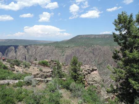 Black Cny of Gunnison - 542