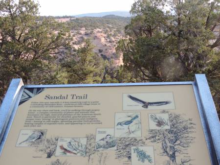 Navajo NM Sandal Trail - 557