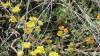 image443.jpeg