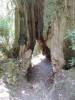 image474.jpeg