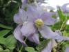 image514.jpeg