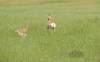 image531.jpeg