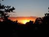 image555.jpeg