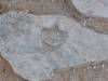 image556.jpeg