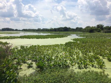 JR Heinz NWR