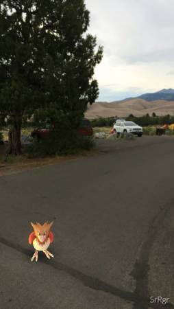 Great Sand Dunes campground critter - 586