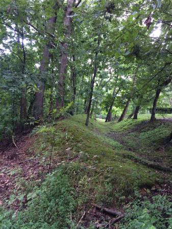 Ft Heiman earthworks KY