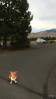 image586.jpeg