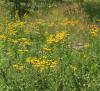 image624.jpeg