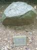 image631.jpeg