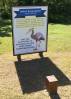 image649.jpeg