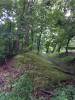 image651.jpeg