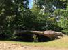 image655.jpeg