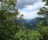 image658.jpeg