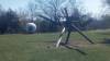 sculpturepark.jpg
