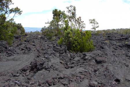 [RT08A_006] (Big Island) Hawaii Volcanoes NP