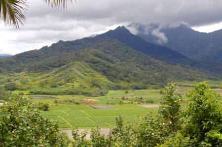 [RT08A_034] (Kauai) Hanalei