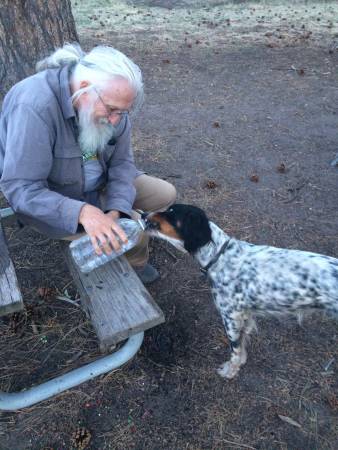 Dog drinking