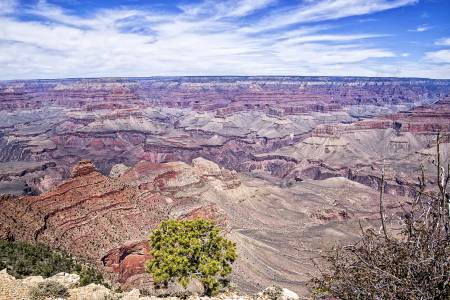 Grand Canyon #6