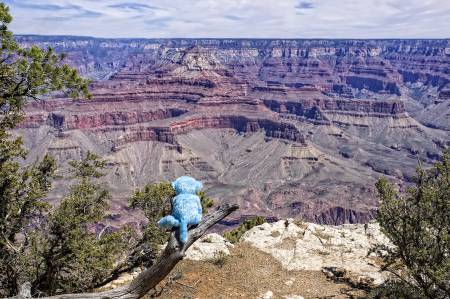 Grand Canyon #9