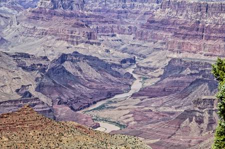 Grand Canyon #13
