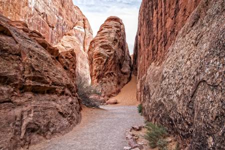 arches_zion_pending