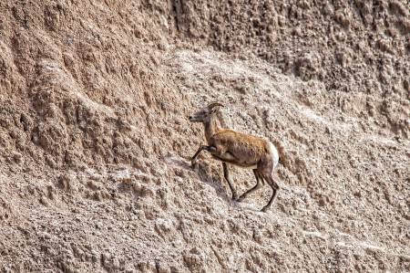 BADLANDS_2645