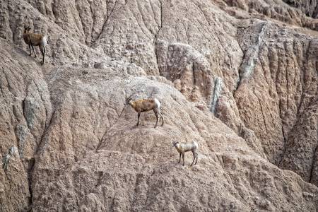 BADLANDS_2650