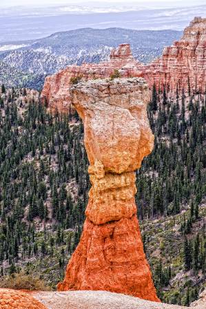 arches_zion_pending
