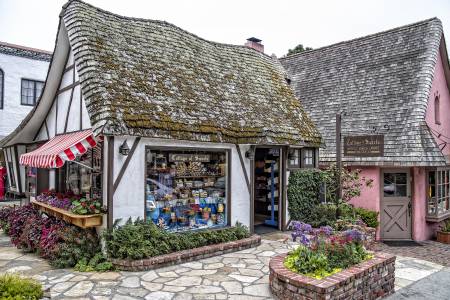 CARMEL_3166