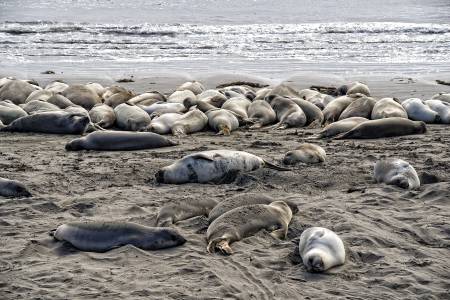SAN_SIMEON_3195_RTA