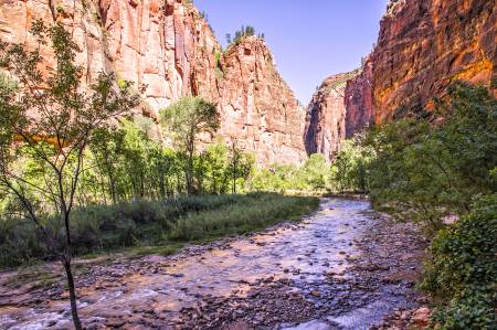 arches_zion_pending