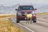 BADLANDS_482442.jpg