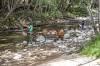 BIG_SUR_3187.jpg