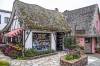 CARMEL_3166.jpg
