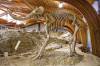 HOTSPRINGS_3519.jpg