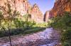 ZION_3_RTA_.jpg